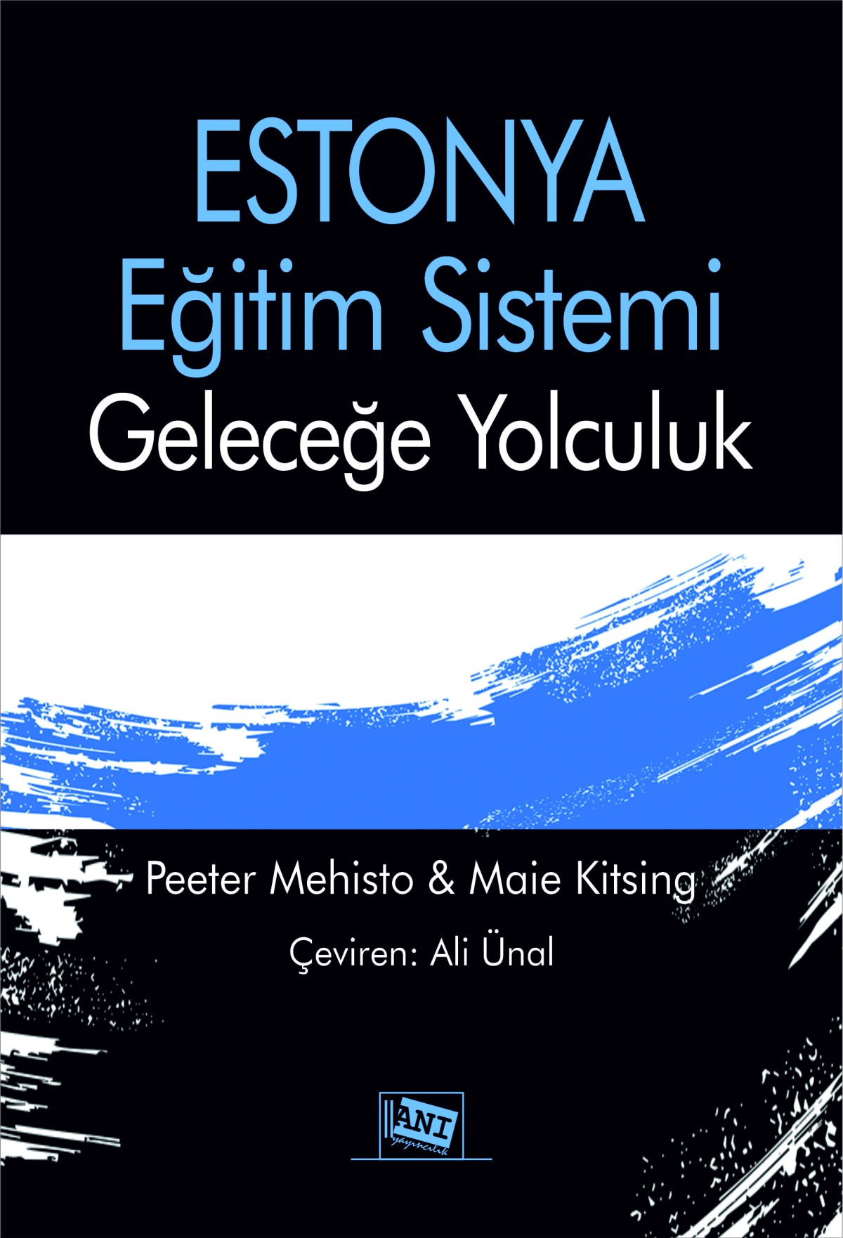 Estonya Eğitim Sistemi: Geleceğe Yolculuk