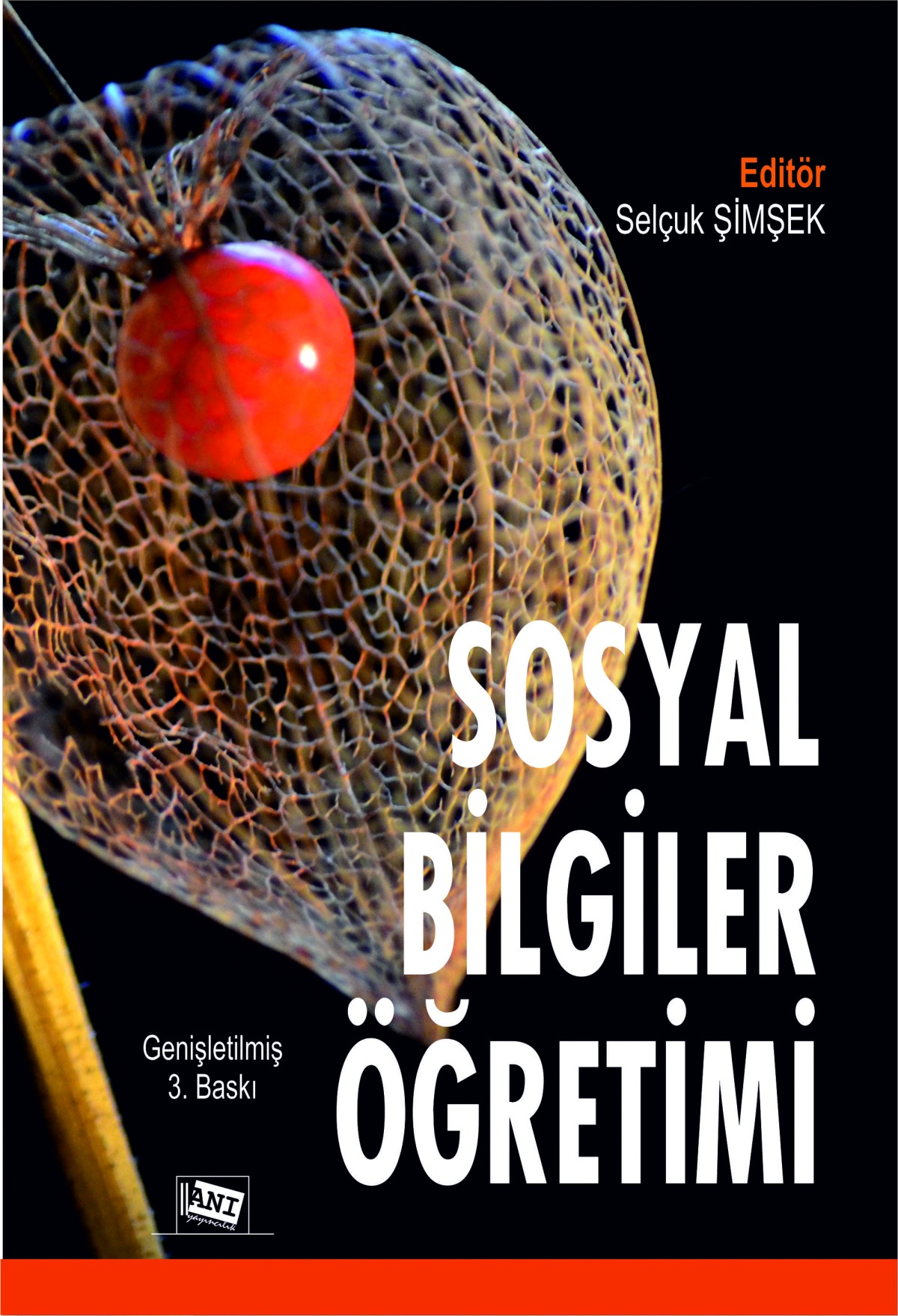 Sosyal Bilgiler Ve Sınıf Öğretmenleri İçin Sosyal Bilgiler Öğretimi